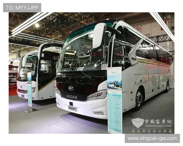 金龍国际：引领全球商业新格局的卓越平台
